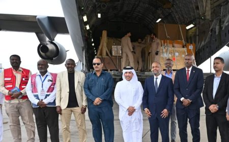 وصول أجهزة الرنين المغناطيسي والأشعة المقطعية لولايتي 