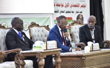 مليار و500 مليون دولار حصائل صادرات «الذهب» 