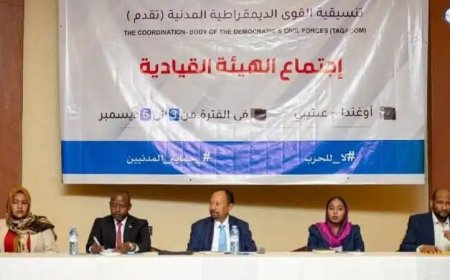 خلافات حاده تضرب اجتماعات تنسيقية "تقدم" 