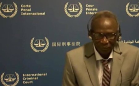 المستشار القانوني للمتهم: علي كوشيب أرسلته الحكومة السودانية للمحكمة الجنائية "كبش فداء" للبشير