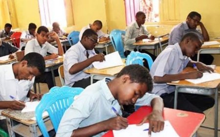 نداء الوسط: المليشيا تحتجز عدد من طلاب الشهادة السودانية وأساتذتهم في ود مدني 