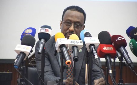 الإعيسر: نرفض أي جريمة تُرتكب في حق السودانيين في أي مكان بالبلاد 