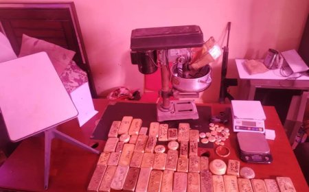 ضبط شبكة دولية لتهريب الذهب بنهر النيل 