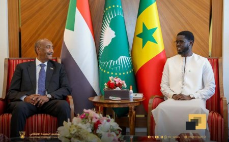 البرهان: سنعمل على دحر المليشيا والانتصار عليها حتي ينعم الشعب بالأمن والاستقرار