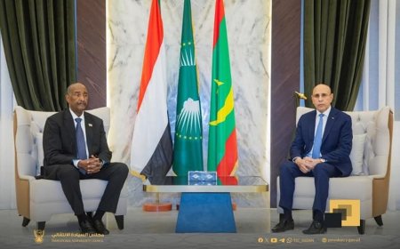 مباحثات بين البرهان ورئيس الاتحاد الأفريقي 