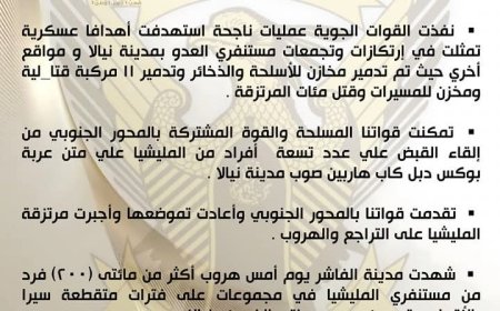 الجيش: تدمير مخازن للأسلحة و11 مركبة قتالية وهلاك المئات من المرتزقة بالفاشر 