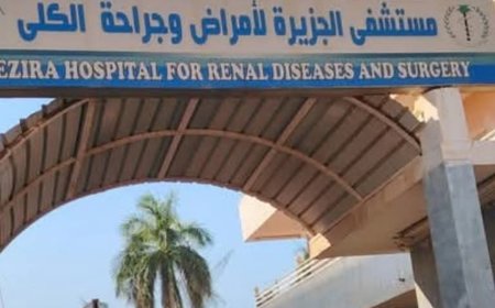 حكومة الجزيرة: إستئناف العمل بمستشفى الكلى بمدينة ودمدني 