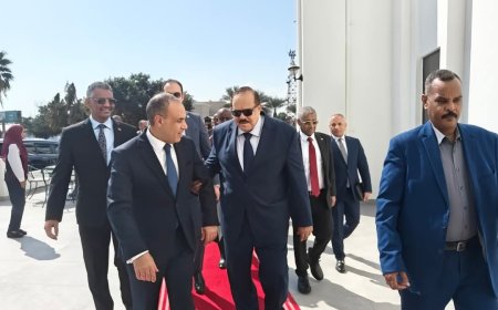 وزير الخارجية المصري يصل بورتسودان    