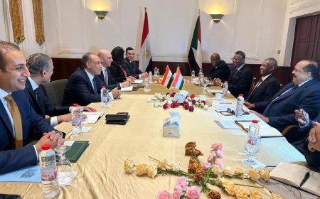 إتفاق بين القاهرة والخرطوم على حماية المصالح المائية المشتركة بين البلدين