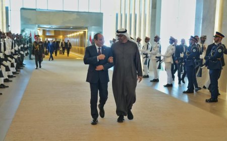 السيسي وبن زايد يبحثان سبل استعادة الاستقرار في السودان   