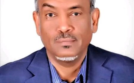 أمين حسن عمر: عقوبات أمريكا ارتقت بالبرهان 