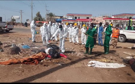 الدفاع المدني يبدأ في تعقيم ود مدني توطئة للعودة الآمنة للمواطنين 
