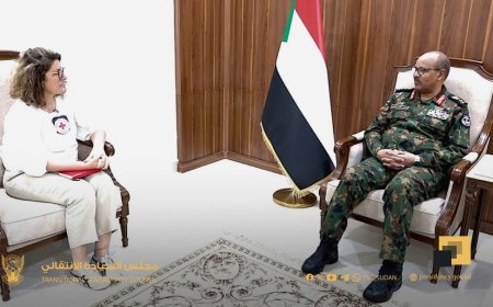 إبراهيم جابر يلتقي مسؤولة بالبعثة الدولية للصليب الأحمر 