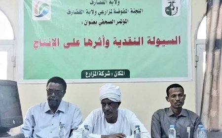 اللجنة المفوضة لمزارعي القضارف: عدم توفير الدولة السيولة النقدية لعمليات الحصاد ينذر بكارثة و"مجاذر" بين العمال والمزارعين بالولاية 