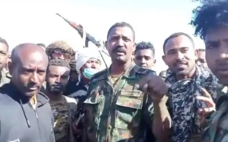 التحام قوات (درع السودان) مع الجيش بشرق النيل 