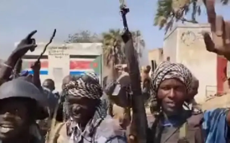 الجيش يُحرر "الكُرُقل" بجنوب كردفان 