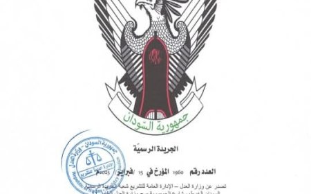 (مصادر ) تنشر نص الوثيقة الدستورية المعدلة 