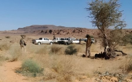 معلومات مثيرة حول مشاركة المرتزقة الكولومبيين مع المليشيا 