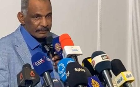 وداعة: تشتت القوى السياسية من أسباب الحرب والمليشيا لن تُقيم حكومة موازية في البلاد    