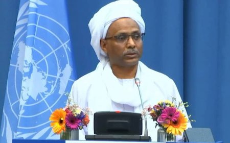 السودان : الامارات غير مؤهلة لاستضافة مؤتمر الأمم المتحدة لمنع الجريمة 