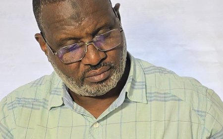 عبد الماجد عبد الحميد يكتب...صورة باهرة لإرادة الإنسان السوداني!