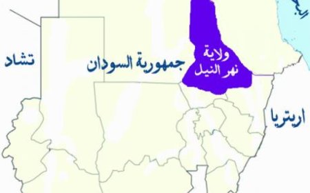 القبض على "العريس" أو ولي أمره.. منع إطلاق النار في مناسبات الزواج بولاية سودانية 
