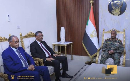توجيهات سيادية صارمة بشأن العلاقات الخارجية 