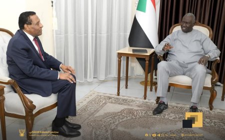 عقار يبحث مع رئيس الوزراء قضايا الخدمة المدنية ورسم السياسات لإدارة الموارد وإنعاش الاقتصاد 