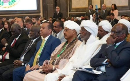 مصر تهدد سياسيين سودانيين بمنعهم من دخول أراضيها 