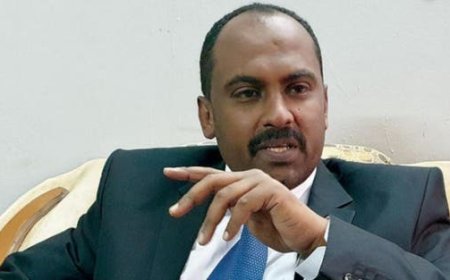 "صمود" ترحب بتشكيل الحكومة في بورتسودان 