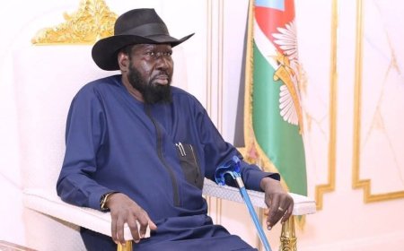شركة تقاضي حكومة جنوب السودان وتطلب تعويض أكثر من مليار دولار 