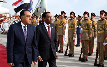 استقبال مهيب لرئيس الوزراء وبدء المباحثات  السودانية _ المصرية في القاهرة 