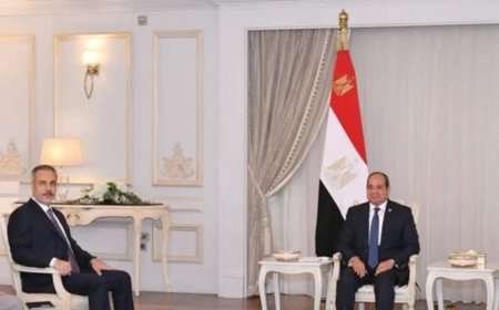 محادثات مصرية- تركية بشأن السودان