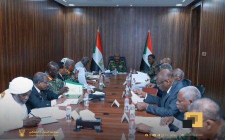 مجلس الأمن والدفاع يناقش إجراءات حكومة أبوظبي وحكومة تأسيس الورقية في دارفور 