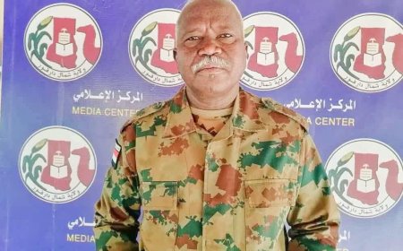 والي شمال دارفور يكشف التفاصيل الكاملة للمعركة (227) على الفاشر 