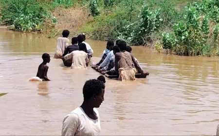 نهر القاش يبتلع "تندلاي" بكسلا 