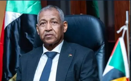 قرارات مرتقبة بشأن المدارس السودانية في مصر