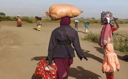المليشيا تهجّر سكان قرية بشمال كردفان 