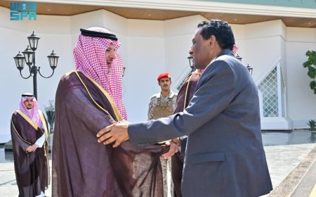 رئيس الوزراء يصل المدينة المنورة 