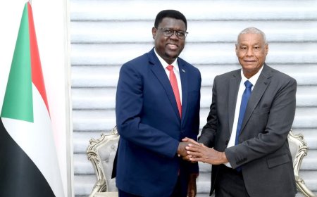 مباحثات بشأن قضايا الحدود بين السودان ودولة الجنوب 