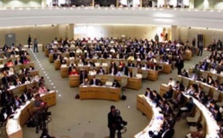 تمديد عمل بعثة تقصي حقوق الإنسان في السودان لعام آخر 