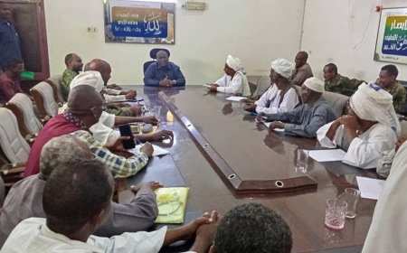 والي الجزيرة: نحتاج إلى 1350 محول لحل مشكلة الكهرباء    
