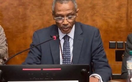 بعثة السودان بجنيف:تمادي المليشيا في إرتكاب الجرائم الوحشية بالفاشر نتيجة مباشرة لصمت المجتمع الدولي تجاه جرائمها       