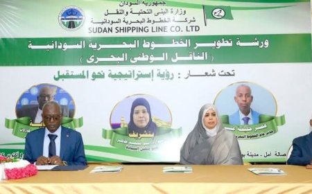 الحكومة تتجه لإستئجار عدد من السفن 