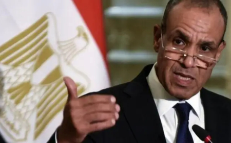 مبحاثات بين وزير الخارجية المصري و مستشار الأمن القومي البريطاني حول تطورات «الفاشر»