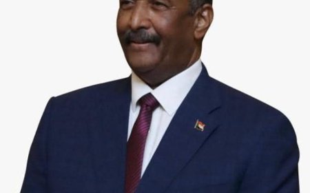 تعليق المشاركات الخارجية للحكومة 