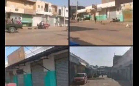 إضراب شامل لتجار سوق ودمدني 
