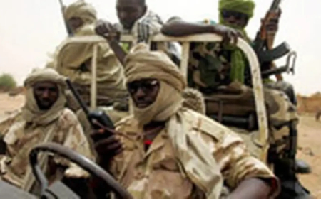 المليشيا تعتقل 25 شخصا في غبيش وترتكب انتهاكات واسعة ضد المدنيين 