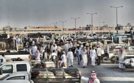 نصفها من السودان...السعودية تستورد مواشي بـ20 مليار ريال 