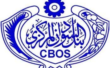 المركزي: جميع التطبيقات المصرفية تعمل "24" ساعة خلال عطلة العيد